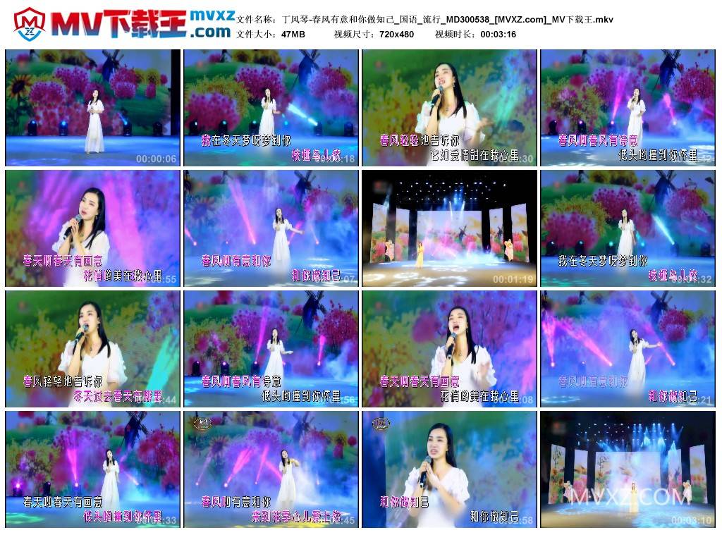 丁风琴-春风有意和你做知己_国语_流行_MD300538